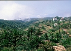 La Gomera, Ortschaft las Hayas am Südwestrand des Nationalparks Garajonay : Palmen Häuser